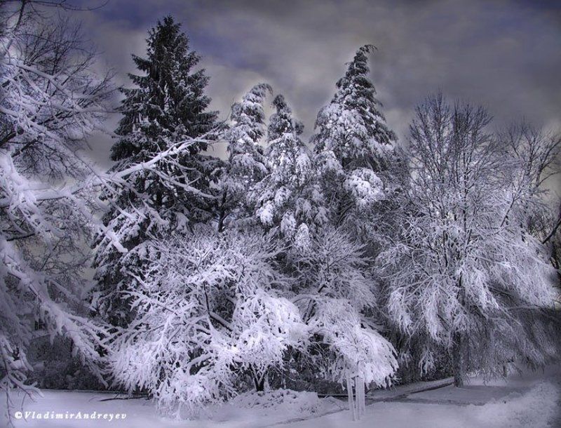 Winter фото превью