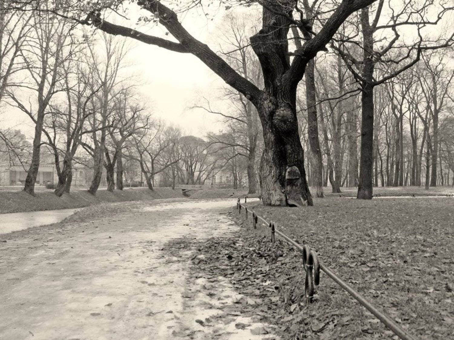 Петербург Таврический  сад, adamovitch