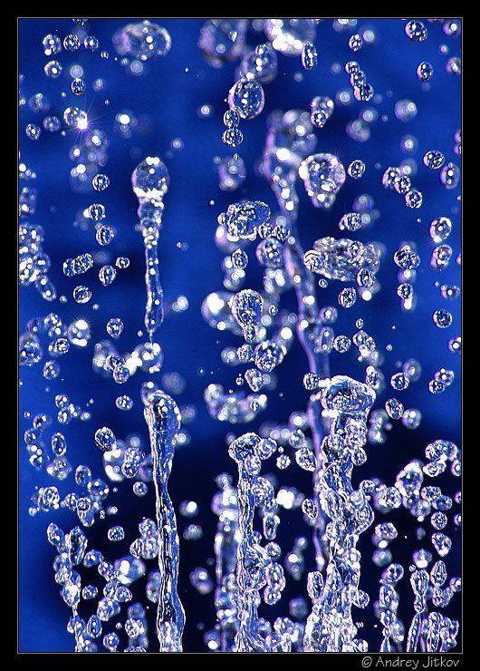 жизнь, вода, Андрей Житков