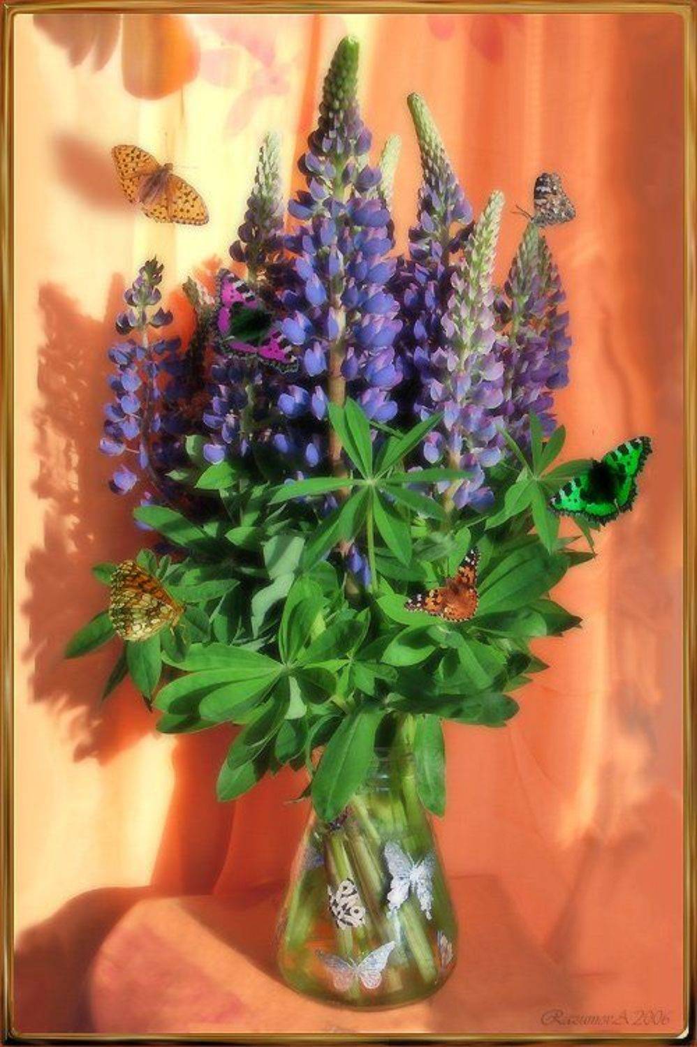 Люпины, бабочки, натюрморт, лето, Anjelochka