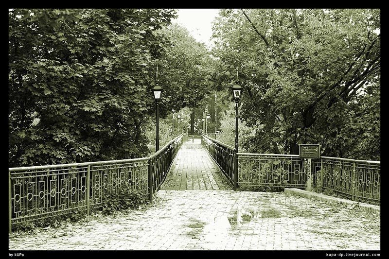 Киев, nature, kUPa  фото превью