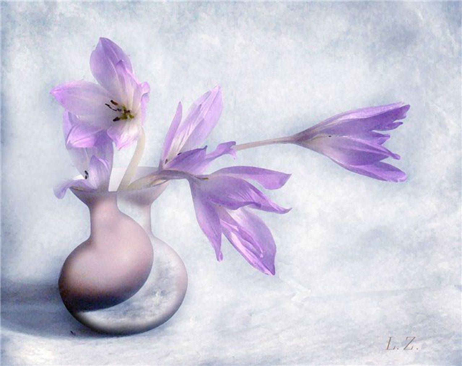 , Лариса Запатрина