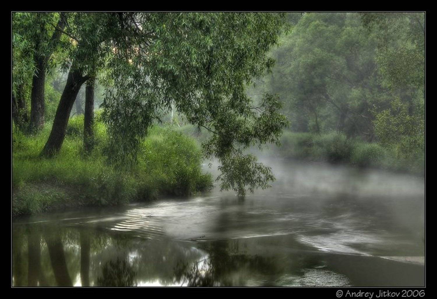 москва, утро, река, лето, овраг, photohunter, Андрей Житков