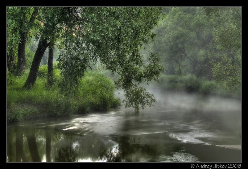 москва, утро, река, лето, овраг, photohunter Умываясь в реке.. фото превью
