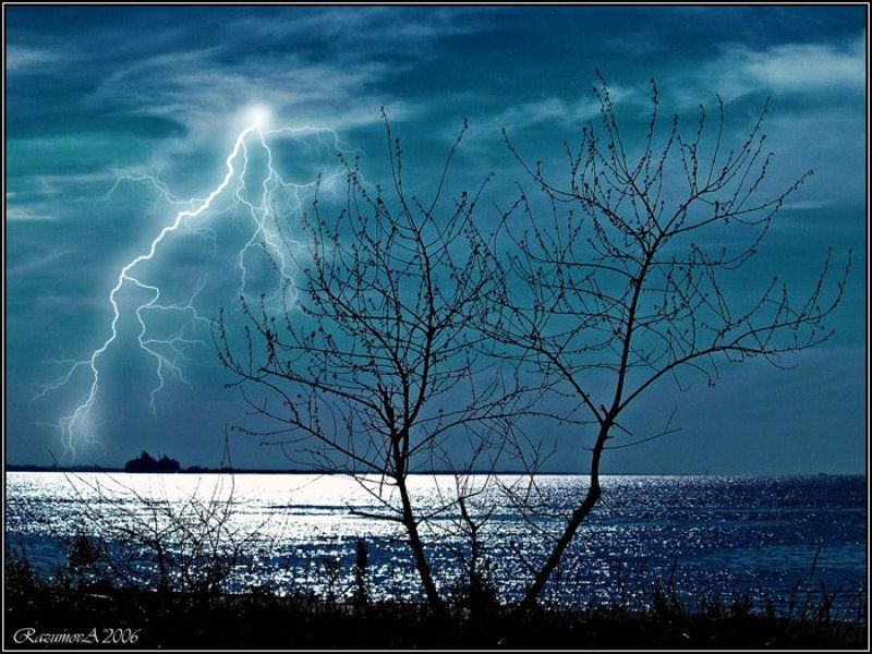 Диалоги фото превью