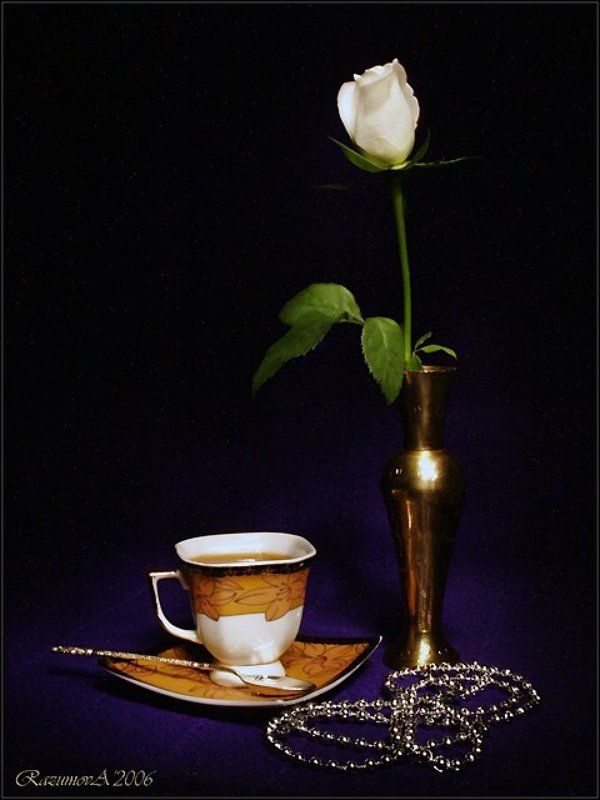 Натюрморт, световая кисть, чай, роза Вечерний чай фото превью