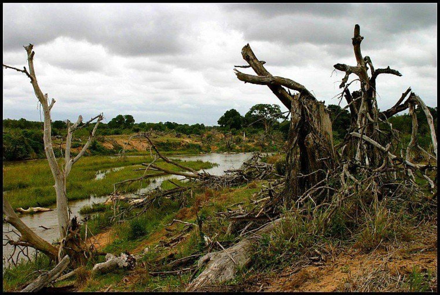 Sabie River, South Africa, Cairns