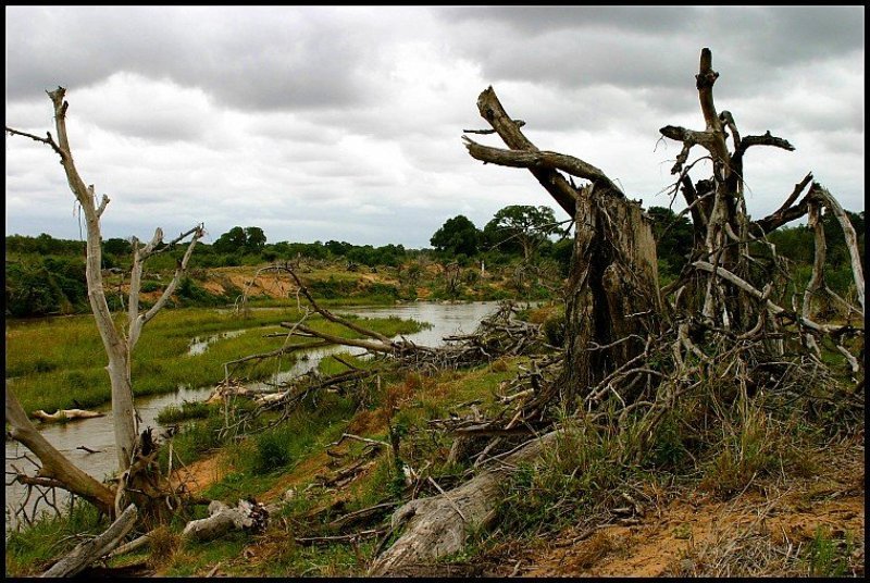 Sabie River, South Africa Протекала речка фото превью