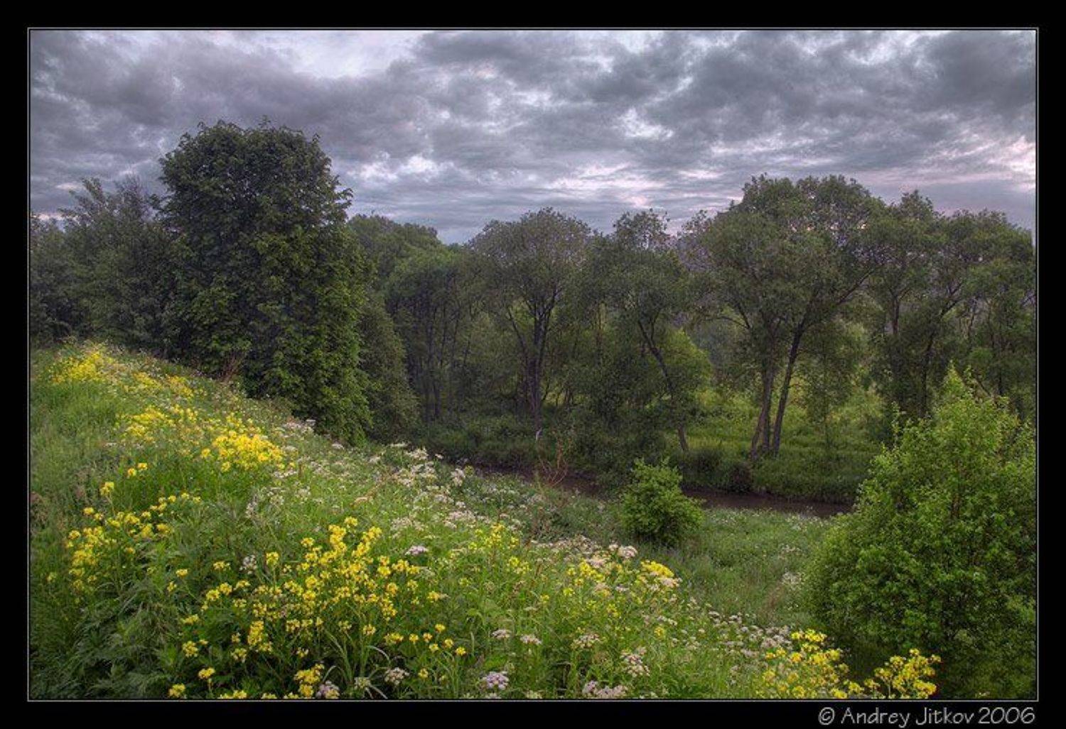москва, утро, лето, овраг, photohunter, Андрей Житков