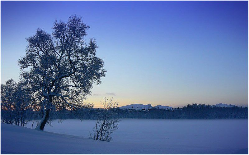 Вечер. Зима. Сугробы. Мороз. фото превью