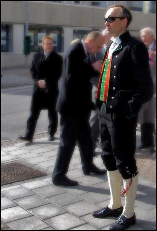 тов.Нильс. фото превью