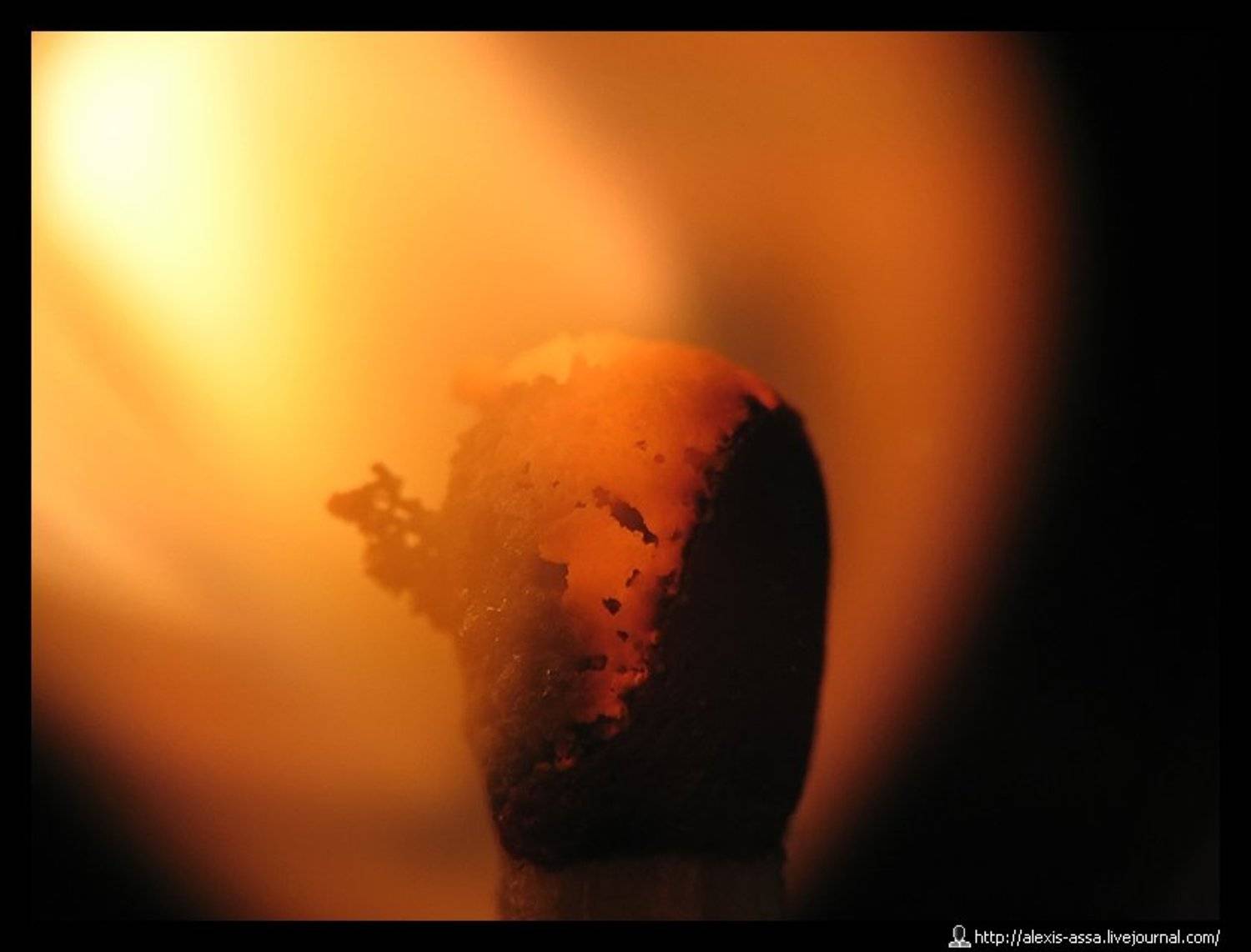 макро, спичка, Alexis Assa