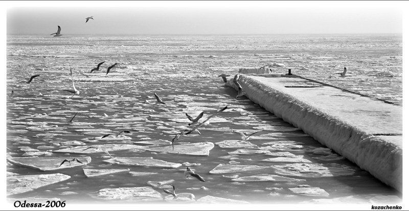 Антактида фото превью