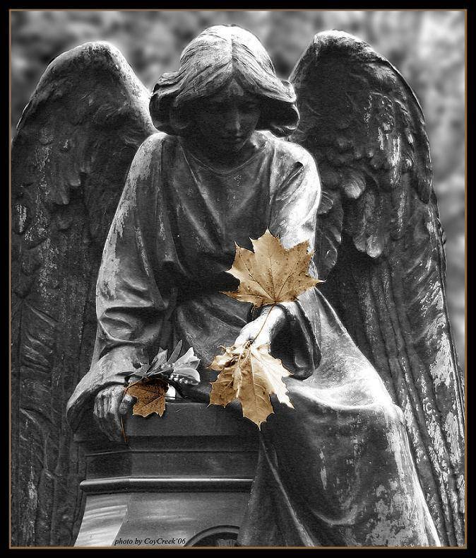 ангел, кладюище, Петрова Мария