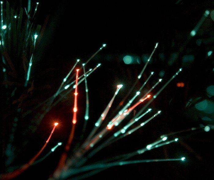 фото, макро, иголки, елочка, новый год, Денис Клюев, Денис Клюев