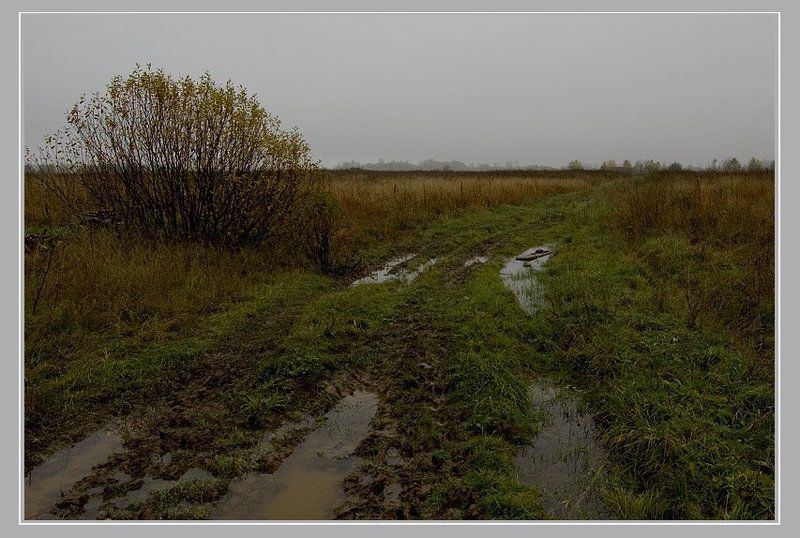 Про сырость фото превью