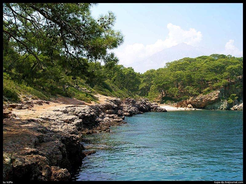 Turkish, kUPa  фото превью