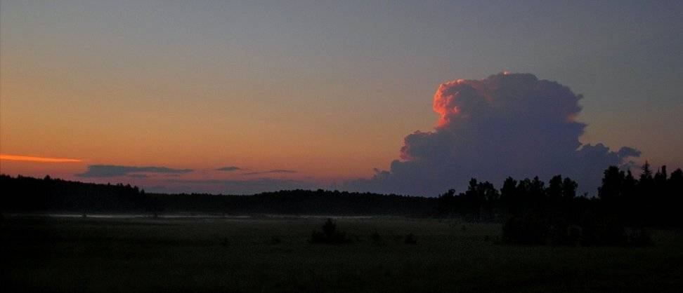 деревня, лето, SavOk