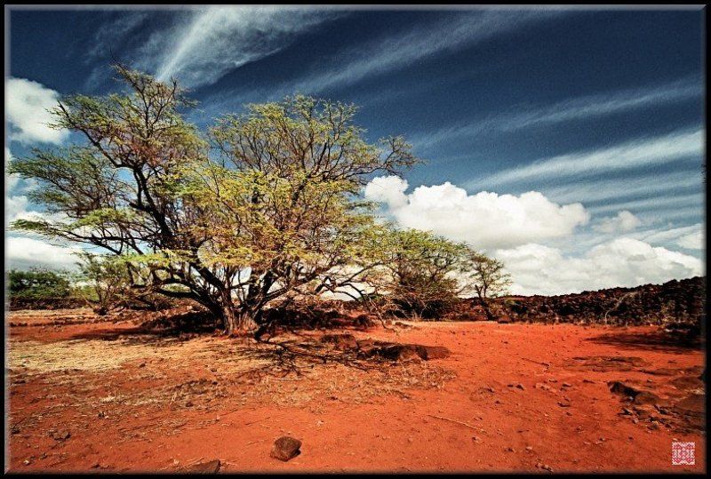 Форт Элизабет фото превью