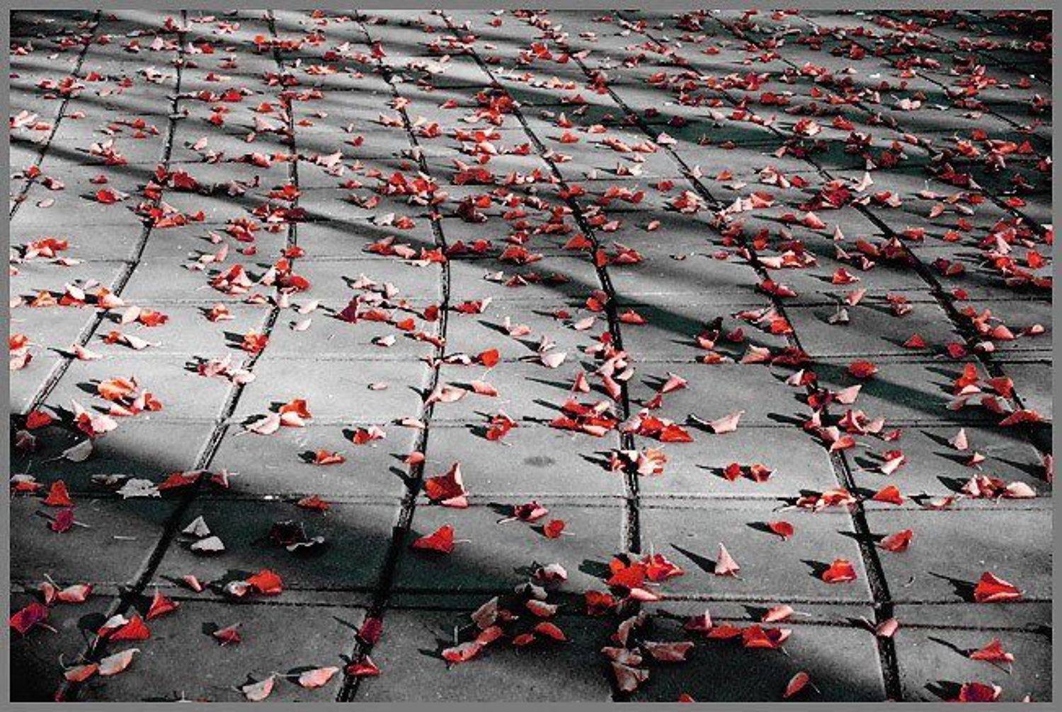 ***, Владимир