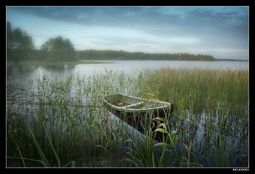 suomi, seleznev, seleznev