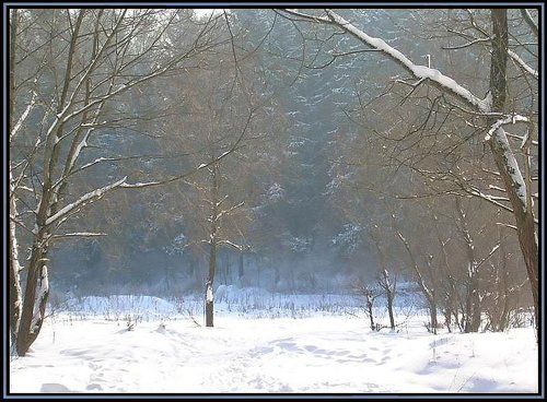 Зимнее спокойствие