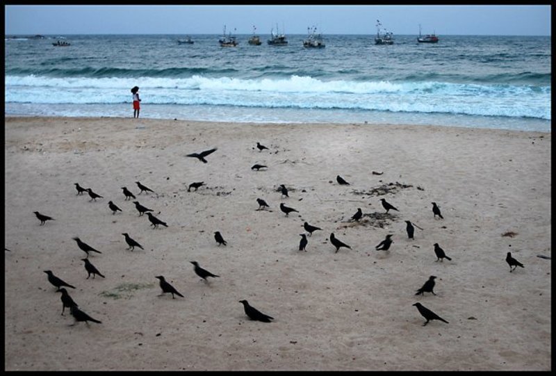 Цейлон, Sri Lanka, Trincomalee Ассоль и корабли фото превью