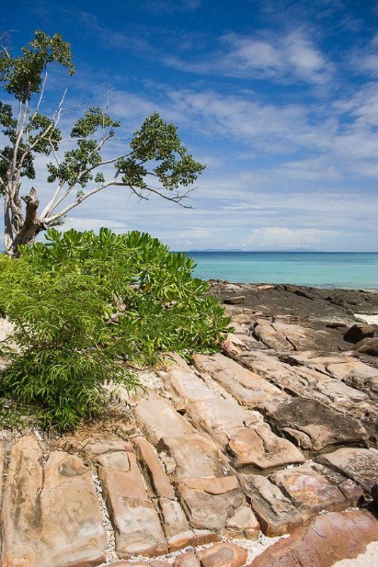 Таиланд, Андаманское, море, Phi Phi Don, берег, остров Phi Phi фото превью