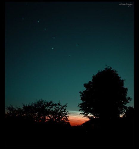 Про ежика в тумане