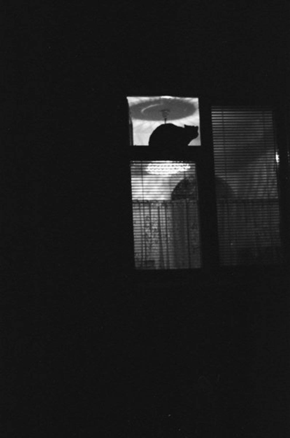 ночь, тепло, дом, Юрий Коряковский