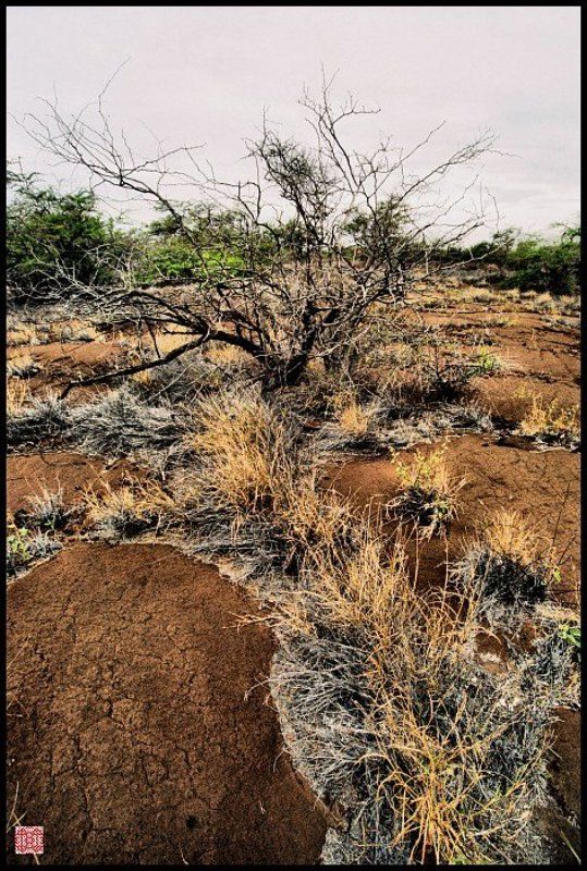 Гавайские острова, вулкан, лава Лавовая река фото превью