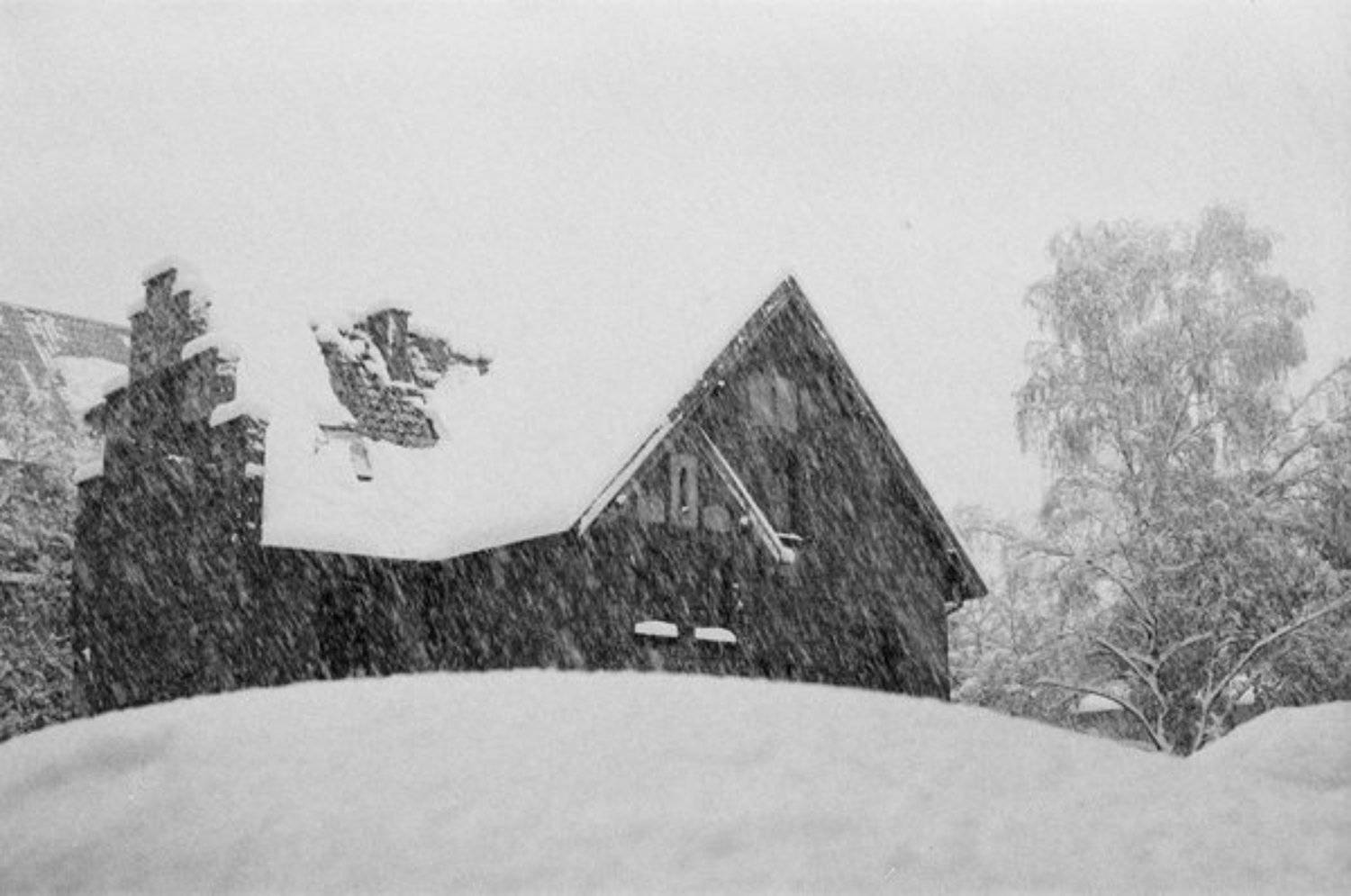 Кенигсберг, ноябрь, Юрий Коряковский