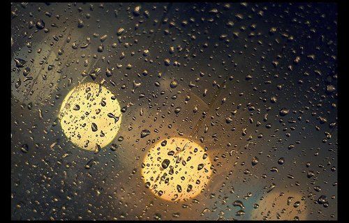 Хорошенькая осень выдалась этой зимой