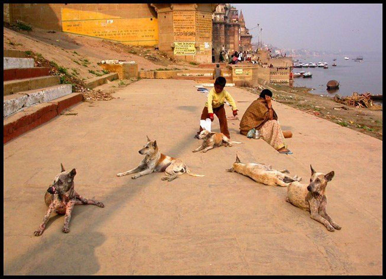 Варанаси, Индия, Владимир