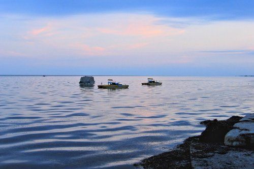 Синий рассвет. Последние минуты сна ....