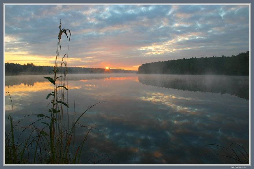 про, рыбалку, Сергей Прокошин