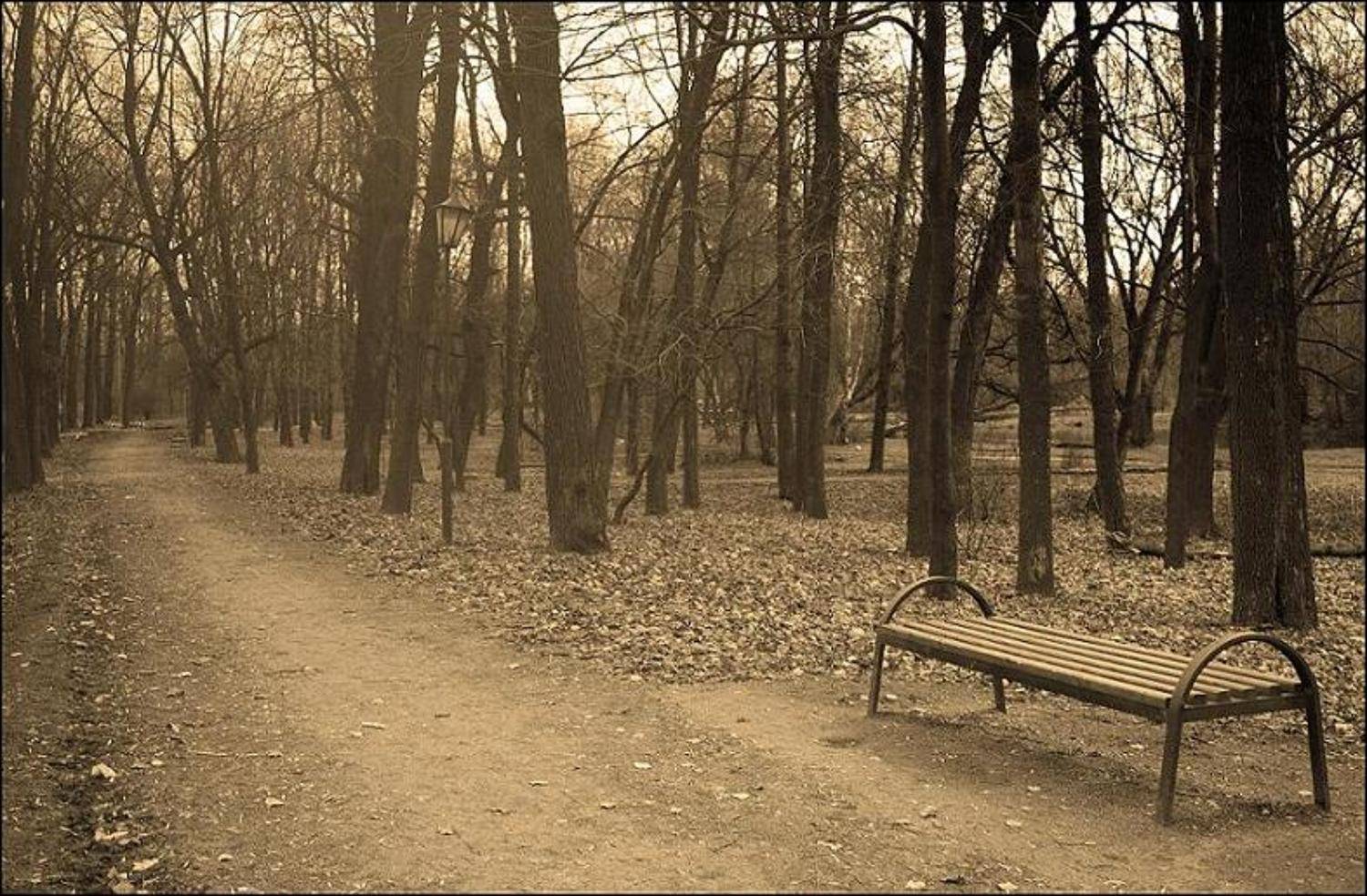 скамейка, зима, как, осень, грустно, Петрова Мария