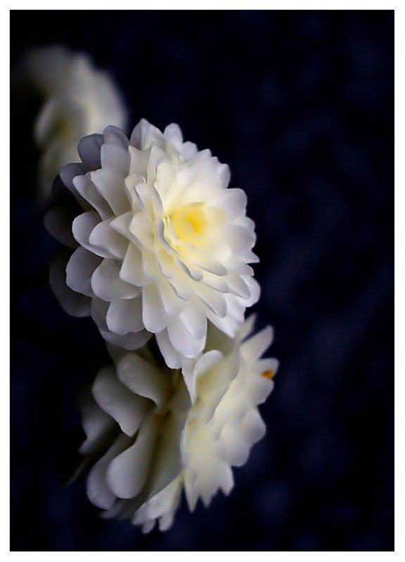 открыточное фото превью