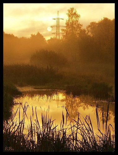 Рассвет под ЛЭП в тиши природной...