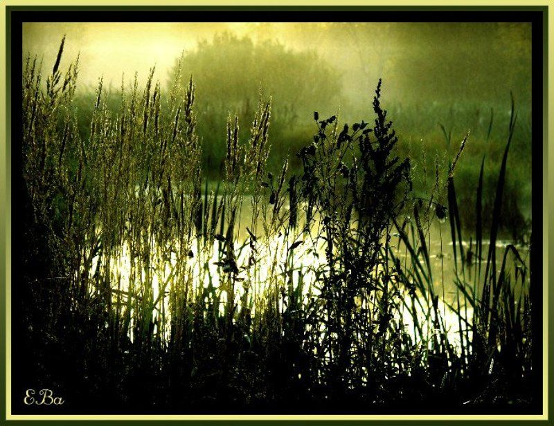 свет,пруд Свет... фото превью