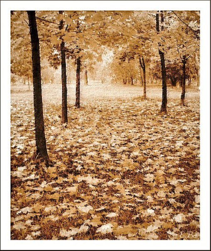 осень Осеннее настроение... фото превью