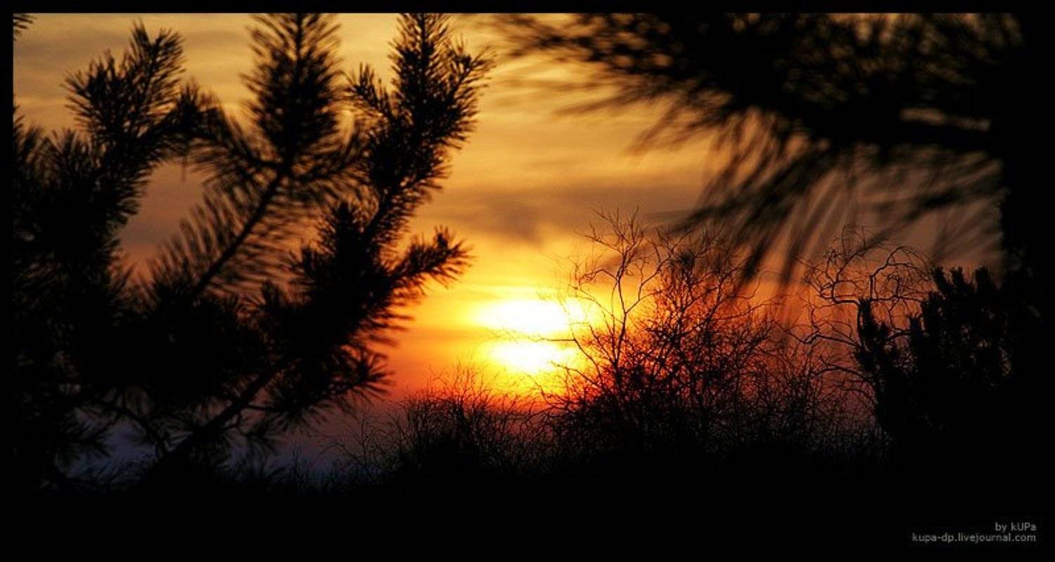 Днепропетровск, Природа, kUPa, kUPa