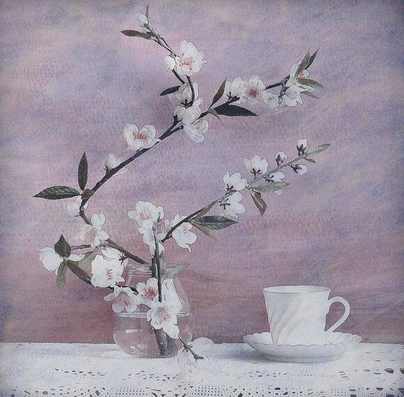 , Лариса Запатрина