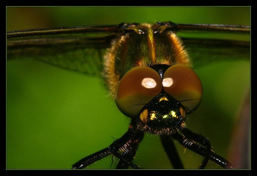 К взлету готов!, jouris