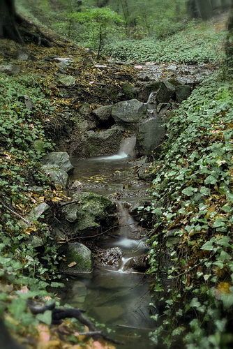 Неспешное журчание к морю