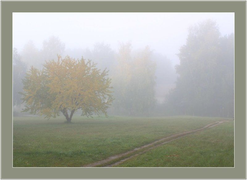 туман фото превью