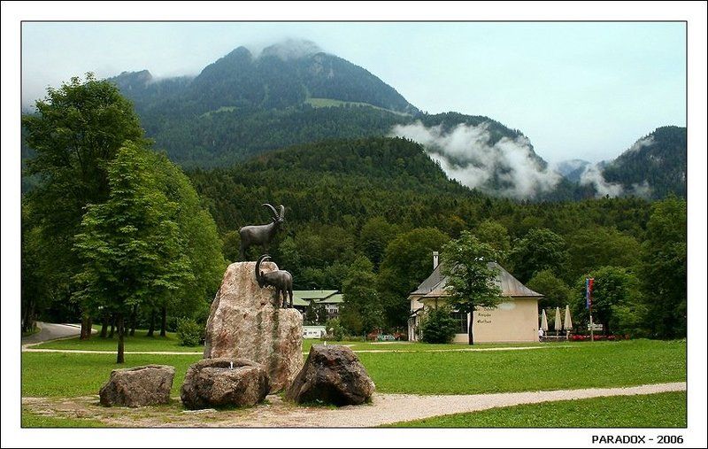 Козерог,Германия,Кенигсзее,знак,Зодиак,туман,горы Пейзаж с козерогами фото превью