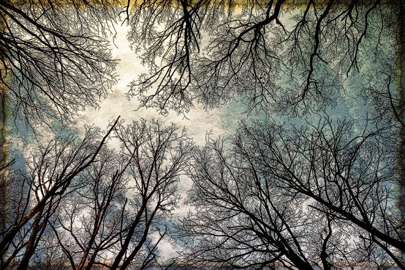 Дорога фото превью