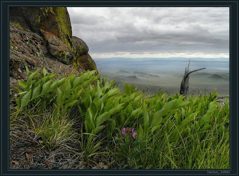 Тут не для всех цветут цветы... фото превью