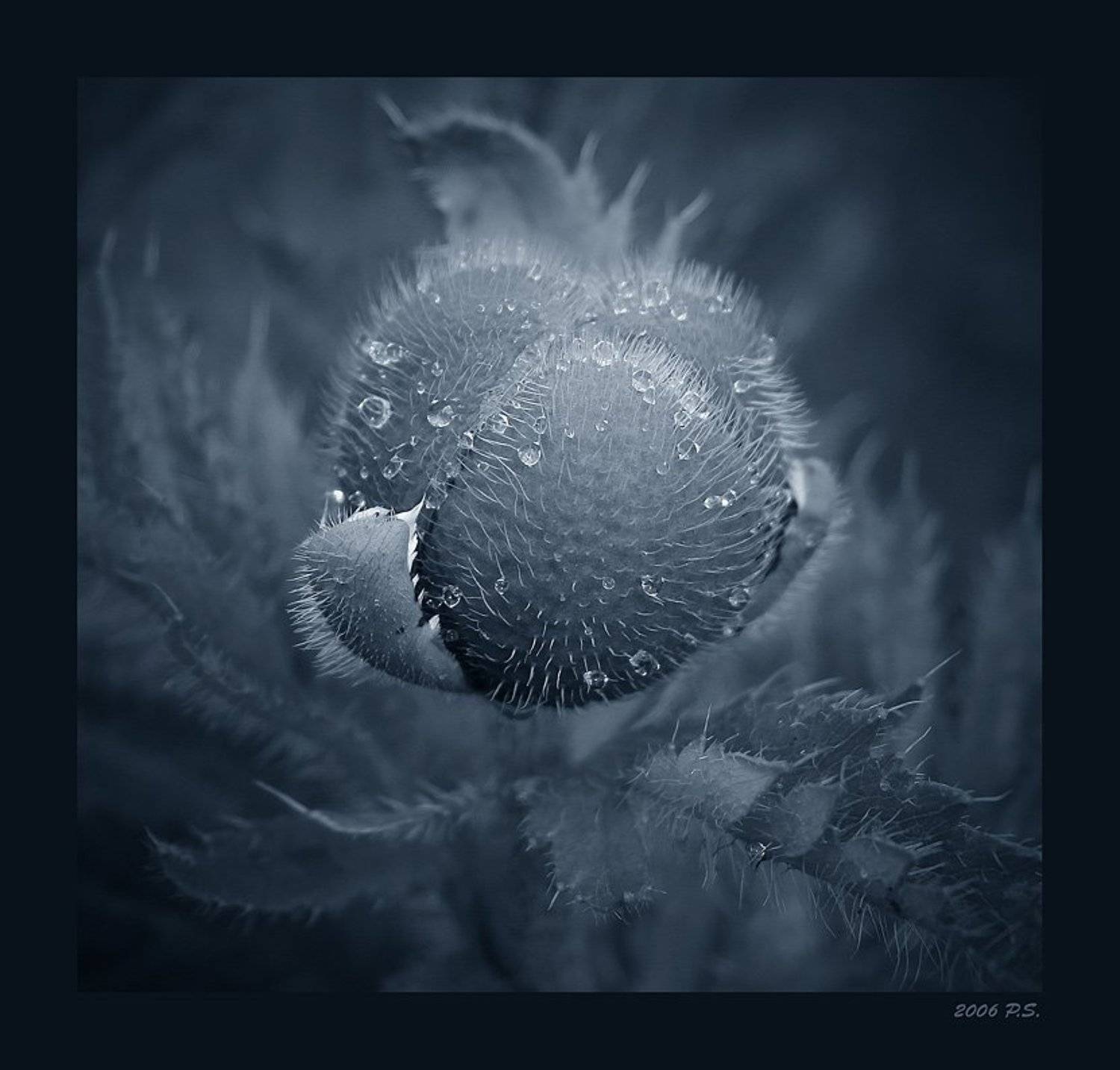 и, эта, про, лето, Сергей Прокошин